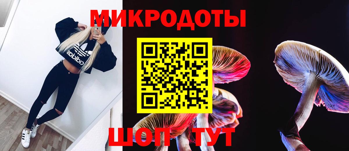 Галлюциногенные грибы ЛСД  Вход с VPN  Севастополь  Галлюциногенные грибы GOLDEN TEACHER 